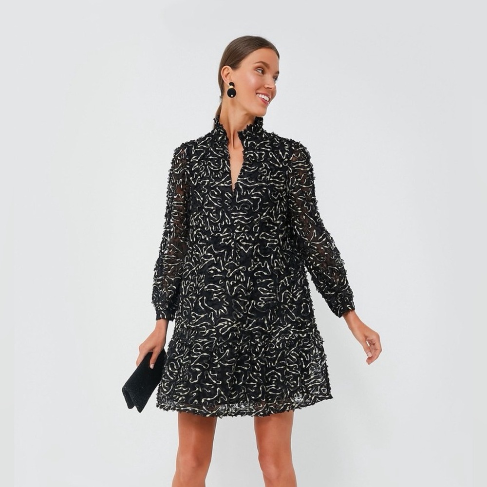 Tuckernuck Nightly Organza Palmerston Dress
